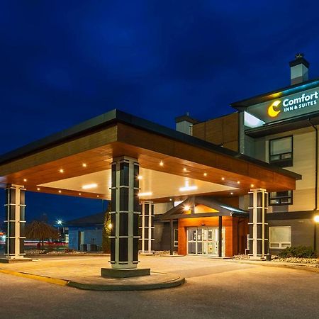 Comfort Inn & Suites Ingersoll Екстер'єр фото